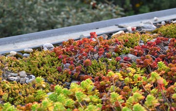 the cost of Broad Town green roof installation