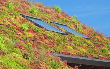 Broad Town living roof systems