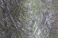 Broad Town fibreglass roof work